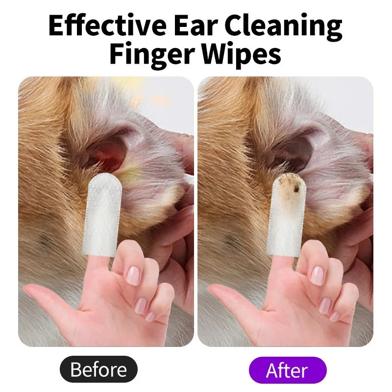 Pet Cleaning Products Eye Wipes To Remove Tear Marks Cleaning Wet Tissues Cat Wiping Eyes Removing Tear Marks And Cleaning Pet