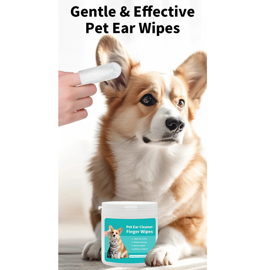 Pet Cleaning Products Eye Wipes To Remove Tear Marks Cleaning Wet Tissues Cat Wiping Eyes Removing Tear Marks And Cleaning Pet